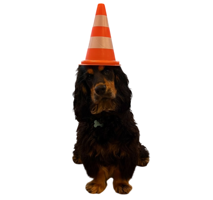 Albert avec cône de construction